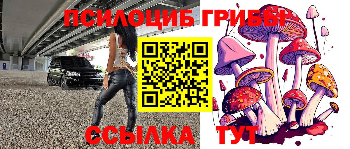 Псилоцибиновые грибы прущие грибы Коммунар