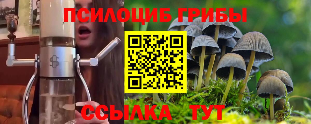 Коммунар  Галлюциногенные грибы Psilocybe  Псилоцибиновые грибы ЛСД  Вход с VPN 